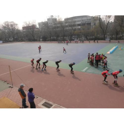 ICE Roller Court Sport Flooring Outdoor/Indoor Sports Court