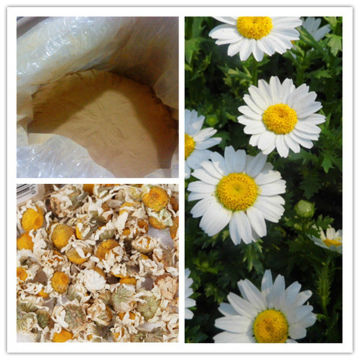 Natural Feverfew Extract Parthenolide 0.3%-1%