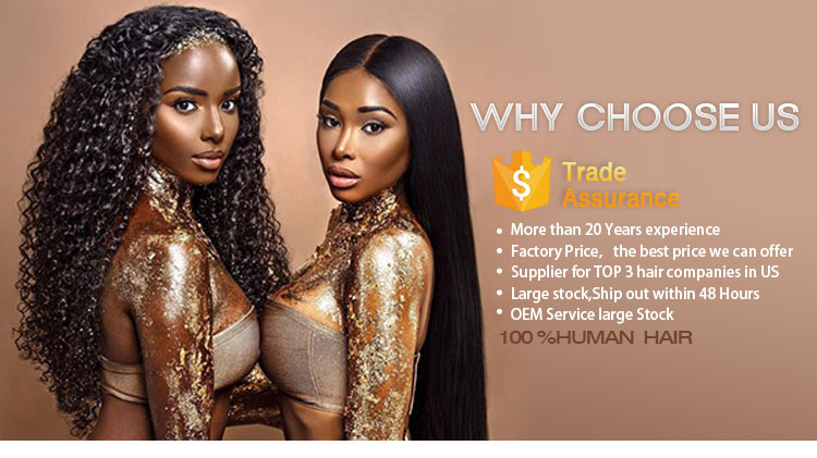 Top quality no tangle best price bald head wig with hair