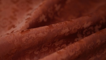 Opening of the Western Regions Mulberry Silk