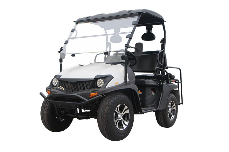 2021 Heißer Verkauf Hohe Qualität 5kw Electric UTV EWG Electric Golf Cart