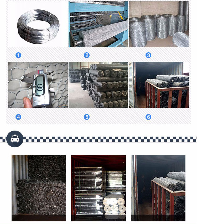 Hexagonal Wire Mesh