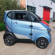 Four Wheeler Luxury Electric Car with Ari-Conditioner and EEC Certification for Adult