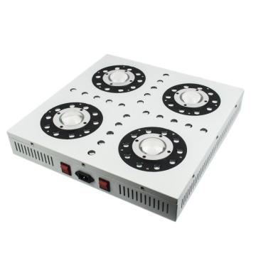 Hydroponic Gardening 300w LED Grow Light