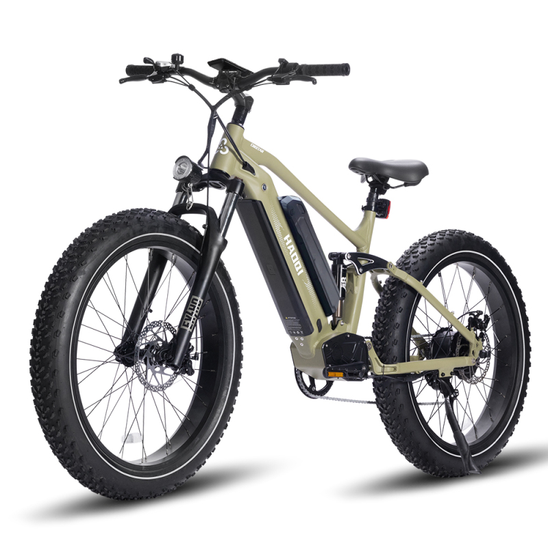 Cheetah Standard Model Full Suspension Electric Bike