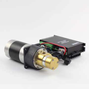 Wholesale High-Power DC Pumps: 200~4000rpm, 5Bar, 120W Magnetic Fuel and Gear Pumps