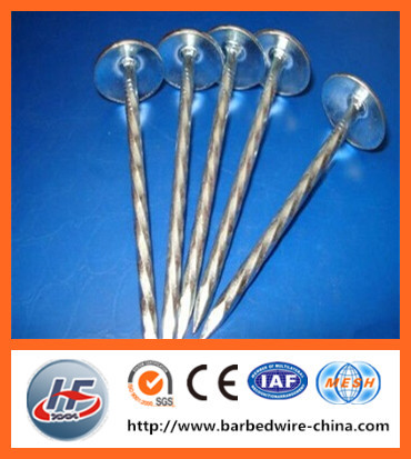 Best price and high quality roofing nails with umbrella head/metal roofing iron nail