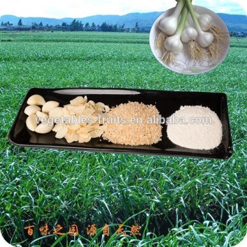 2015 new AD garlic powder