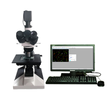 TBT-1431 Carbon Black Dispersion Testing System