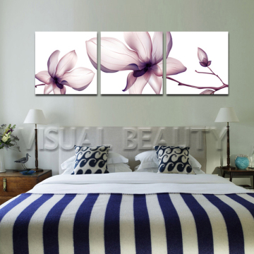 Canvas Printing and Gallery Wrap, 3 Pictures Panels