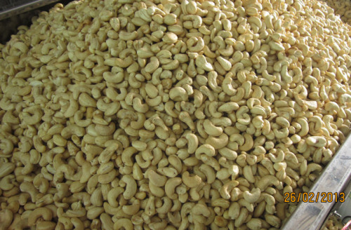 Cashew Nut Kernels