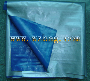 Blue and Silvery PE Tarpaulin