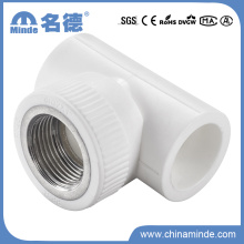 PPR Female Tee Type E Fitting for Building Materials