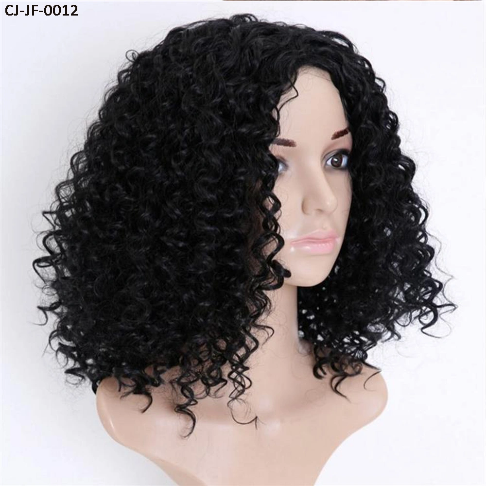 Fancy New Short Curly Hair Chemical Fiber High Temperature Silk Small Roll Afro Wig Cover Human Hair Full Lace Wigs for Women