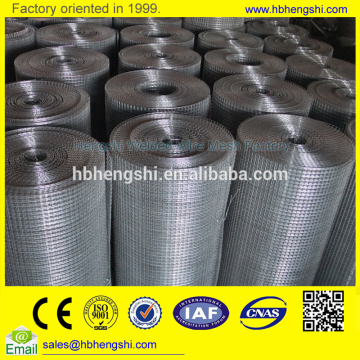 304 stainless steel welded wire mesh / 1x1 galvanized welded wire mesh