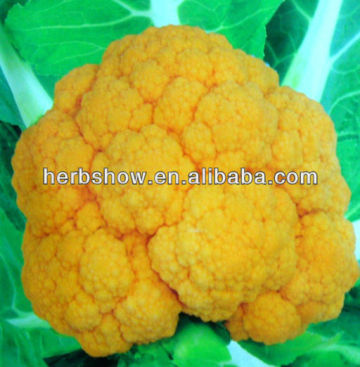 High Yield Yellow Broccoli seeds