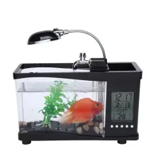 Desktop Mini USB Aquarium: LED Lit Indoor Fish Tank