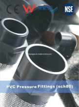 Best Quick Shipment Certified CPVC Sch80 Fittings