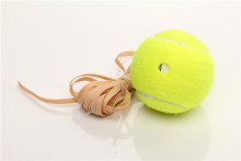 Custom tennis training equipment with balls and string