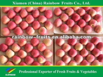 Chinese Fresh Red Fuji Apple