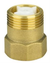 nozzle check valve