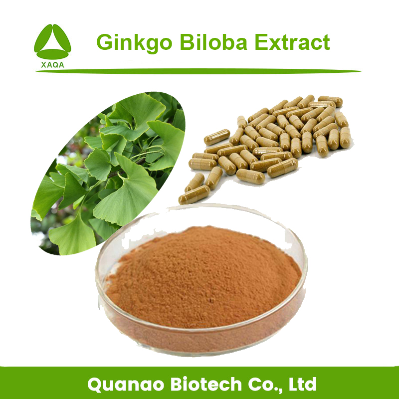 Poudre naturelle pure biologique en vrac d'extrait de Ginkgo Biloba