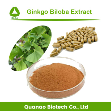 Extrato de Ginkgo Biloba em pó orgânico puro e natural