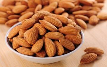 Almond  apricot  kernel apricot seed