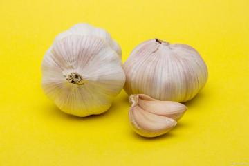 Natural Fresh White Garlic Vegetables