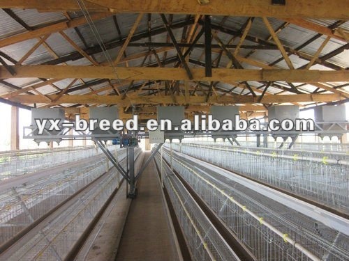 automatic chicken duck cages