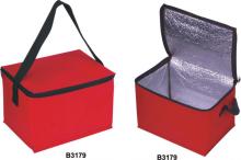 Cool food storage bag