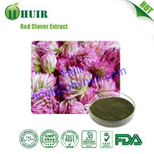 Hot sales plant extract Red clover extract/Isoflavones 8%-60%/ Red Clover Extract