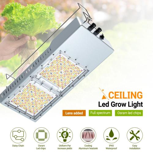 LED Grow Light for Vertical farming