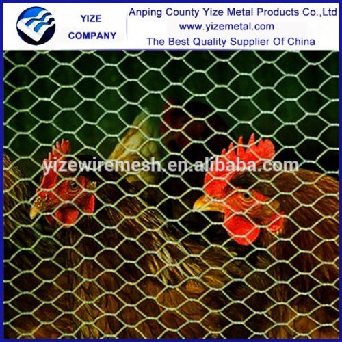 Cheap Price Galvanized Hexagonal Poultry Wire Netting / Galvanised Chicken Wire Mesh(Hot sale)