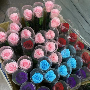 Yunnan Activelove Preserved Roses - Everlasting Roses for Home Decor