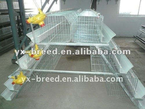 Poultry Layer Cage of drinker cups and nipple