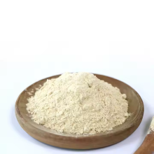 Garlic Extract Powder Bulk for Seasoning Pure Garlic Powder