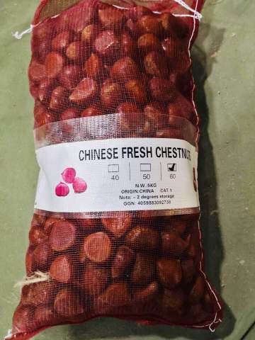 Chinese fresh chestnut 2020 crop