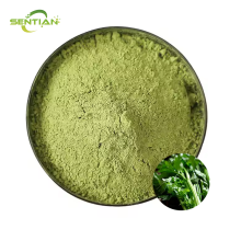 High-quality celery powder, extracted from celery