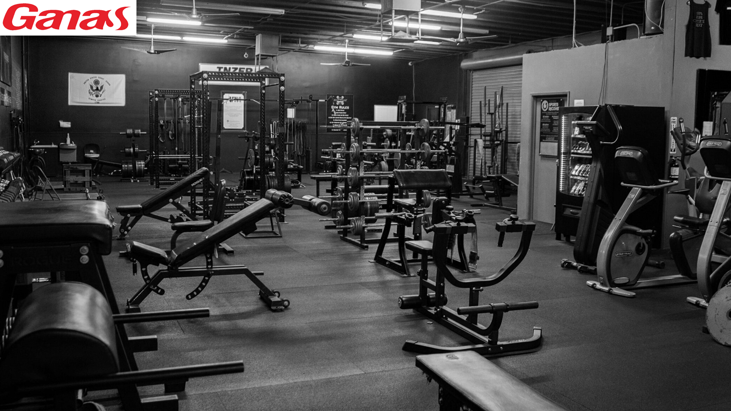 Powerlifting Gyms