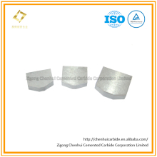 Different Size Tungsten Carbide Alloy Shield Cutter