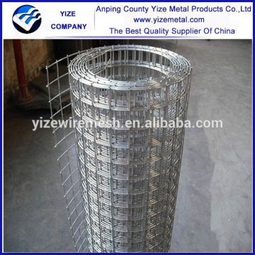 China manufacture excellent welded mesh/5x5 welded wire mesh