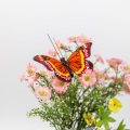 Artisanat de papillon avec du papier de soie