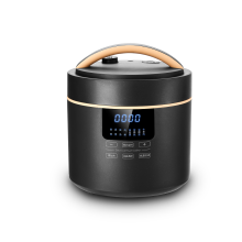 4L Plastic Pressure Cooker