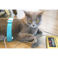 hôpital vétérinaire animal de compagnie chien chat santé scanner quantique