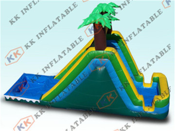 backyard and garden water slides