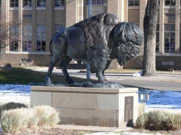 High quality garden decor bronze life size American bison statue