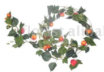 Physalis Garland