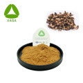 Cassia Twig Guizhi Extract 10: 1 порошок