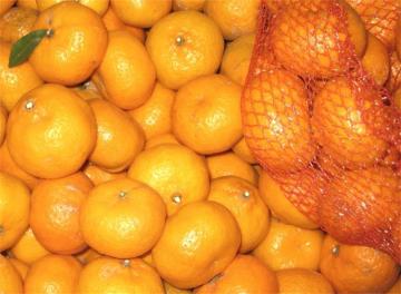 Juicy sweet fresh baby mandarin Nanfeng